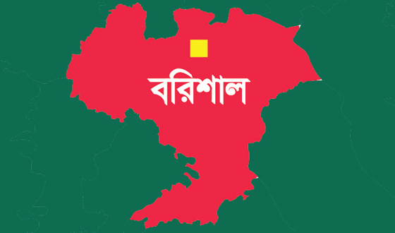 মুক্তিযোদ্ধার বাড়িতে হামলার অভিযোগ