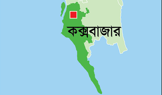 পেকুয়ায় তর্কাতর্কির জেরে বৃদ্ধকে কুপিয়ে ও পিটিয়ে হত্যা
