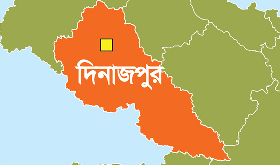 ঘোড়াঘাটে বধ্যভূমির তালিকায় নেই শানাই পুকুরের নাম