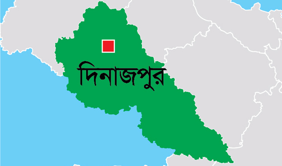 হিলি স্থলবন্দর দিয়ে শুল্কমুক্ত ৪৮ হাজার টন চাল আমদানি
