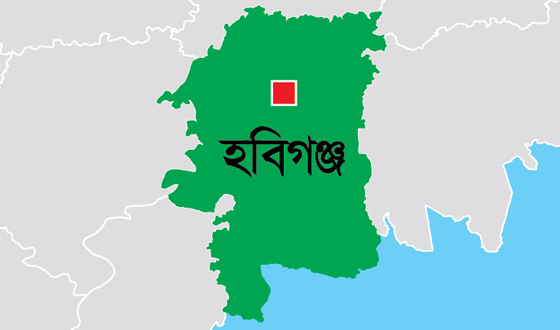 মাধবপুরে সাজা প্রাপ্ত  আসামি গ্রেফতার