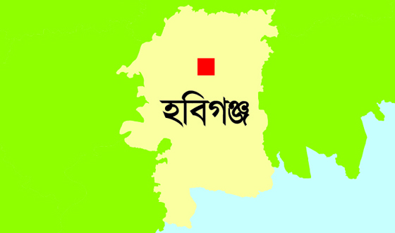 ফাঁস দিয়ে প্রবাসীর স্ত্রীর আত্মহত্যা
