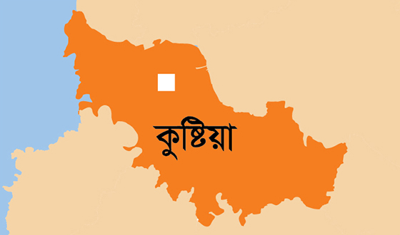 দৌলতপুরে স্বর্ণালংকার নগদ টাকা ও মোবাইল ছিনতাই