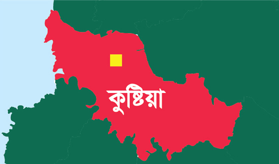 দৌলতপুরে ট্যাপেন্টাডলসহ ২ মাদক চোরা কারবারি আটক