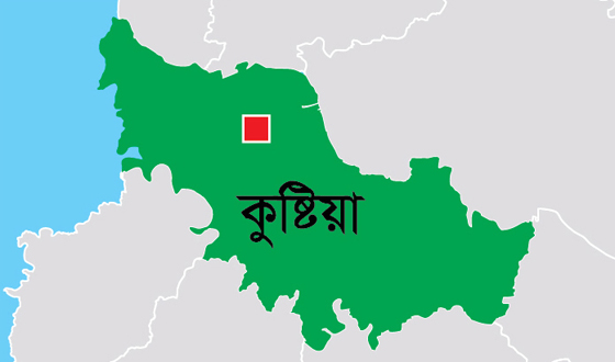 দৌলতপুরে দুই মাদক কারবারি আটক