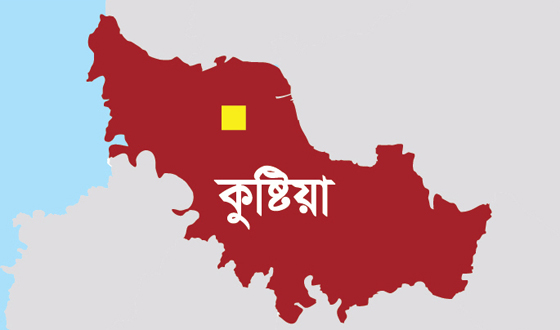 দৌলতপুরে স্বর্ণালংকার নগদ টাকা ও মোবাইল ছিনতাই