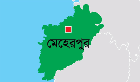 মেহেরপুরের গাংনীতে বিল্ডিংয়ের ছাদ ধসে ভিক্ষুকের মৃত্যু