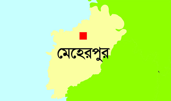 মেহেরপুরে কৃষকের মরদেহ উদ্ধার