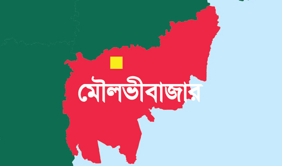 কমলগঞ্জে পূর্ব বিরোধের জেরে একজনকে কুপিয়ে হত্যা