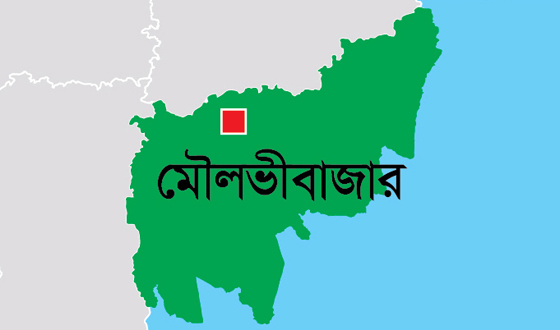 কমলগঞ্জে গলা ও হাত কাটা শিশুর লাশ উদ্বার
