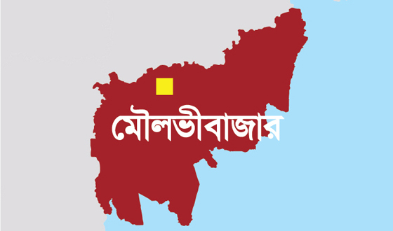 কমলগঞ্জে গলা ও হাত কাটা শিশুর লাশ উদ্বার