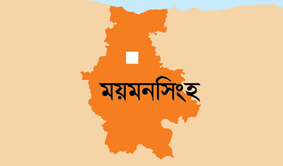 ভালুকায় মায়ের কাছ থেকে নেশার টাকা না পেয়ে আত্নহত্যা