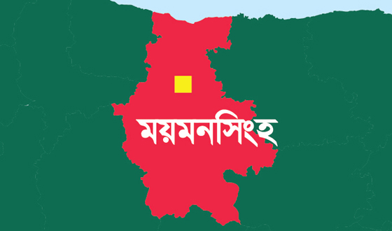 ভালুকায়  বিএনপির দুই গ্রুপের সংঘর্ষ