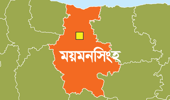 ভালুকায় বিদুতের লোডশেডিংয়ের কারনে জনজীবনর অতিষ্ট