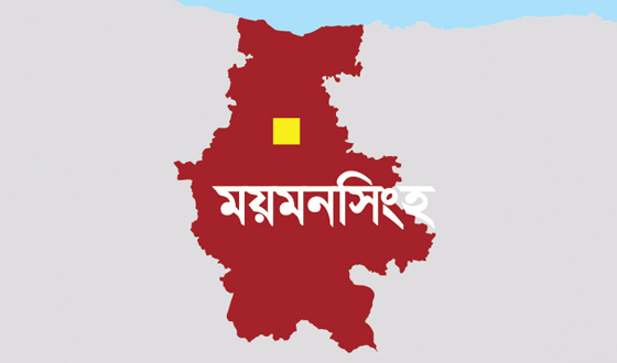 ভালুকায় ছুরিকাঘাতে কিশোর আহত