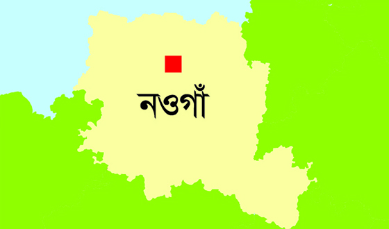 পোরশায় সাপের কামড়ে এক শিশুর মৃত্যু, আহত ১
