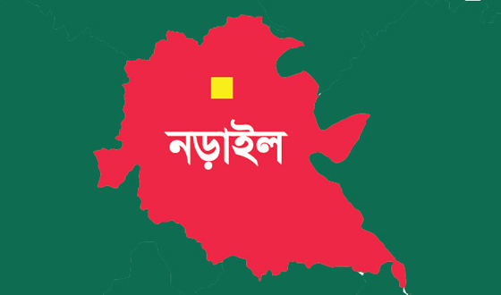 নড়াইলে ২ভাইয়ের যাবজ্জীবন কারাদন্ড