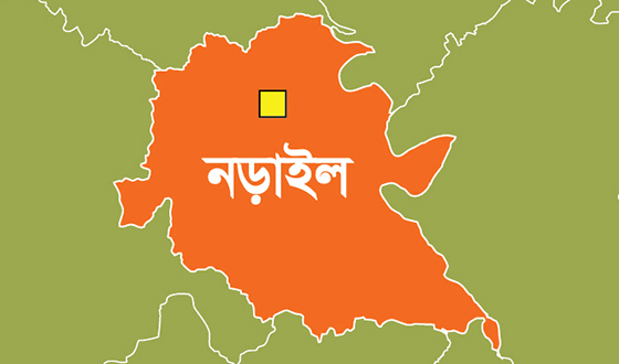 নড়াইলে ২ভাইয়ের যাবজ্জীবন কারাদন্ড