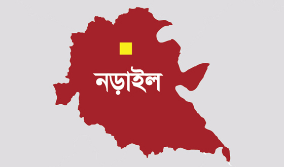 নড়াইলে ২ভাইয়ের যাবজ্জীবন কারাদন্ড