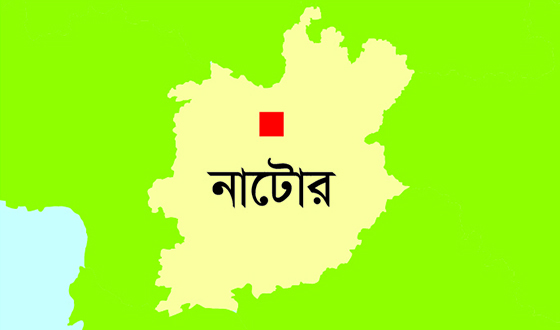 লালপুরে ট্রাকের ধাক্কায় প্রাণ গেল ভ্যান যাত্রীর