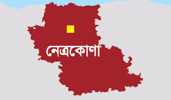 কলমাকান্দায় দুঃসাহসিক চুরি, নারীসহ আহত চার