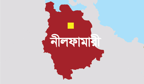 সৈয়দপুরে মেয়াদ উত্তীর্ণ ৫০ হাজার টাকার কীটনাশক জব্দ