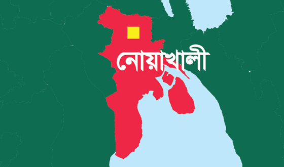 সেনবাগে পুকুরের পানিতে ডুবে ৩ বছরের শিশুর মৃত্যু