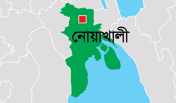 সেনবাগে গলায় ফাঁস দিয়ে দুই সন্তানের জননীর মৃত্যু