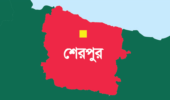 নকলায় পুকুরে ডুবে প্রাণ গেল শিশুর