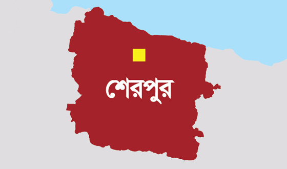 নকলায় পুকুরে ডুবে প্রাণ গেল শিশুর