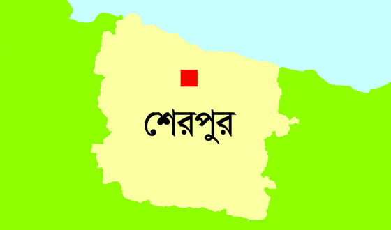 নালিতাবাড়ীতে পানিতে ডুবে শিশুর মৃত্যু