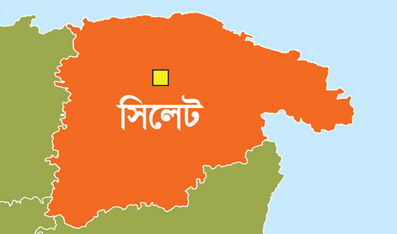 নিখোঁজ নয়,পারিবারিক নির্যাতনের শিকার হয়ে স্বেচ্ছায় বাড়ি ছেড়েছেন হাবিবা