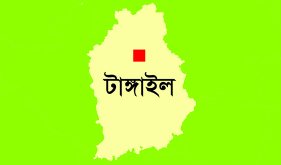 আইনজীবী সাইফুল হত্যায় দেলদুয়ারে প্রতিবাদ সভা